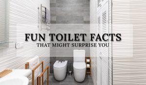 Read more about the article 21 Fun toilet facts that might surprise you
