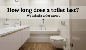 Read more about the article How long does a toilet last? A toilet designer answers