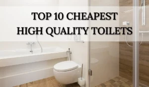 Read more about the article Top 10 cheapest toilets of high quality | comparison