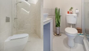 Read more about the article One vs two piece toilet | Everything you need to know