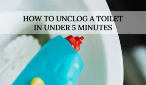 Read more about the article How to unclog a toilet fast in under 5 minutes