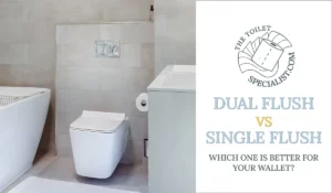 Read more about the article Dual flush vs single flush toilet: what your wallet prefers