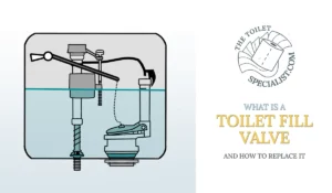 Read more about the article What is a toilet fill valve & how to replace it | Guide