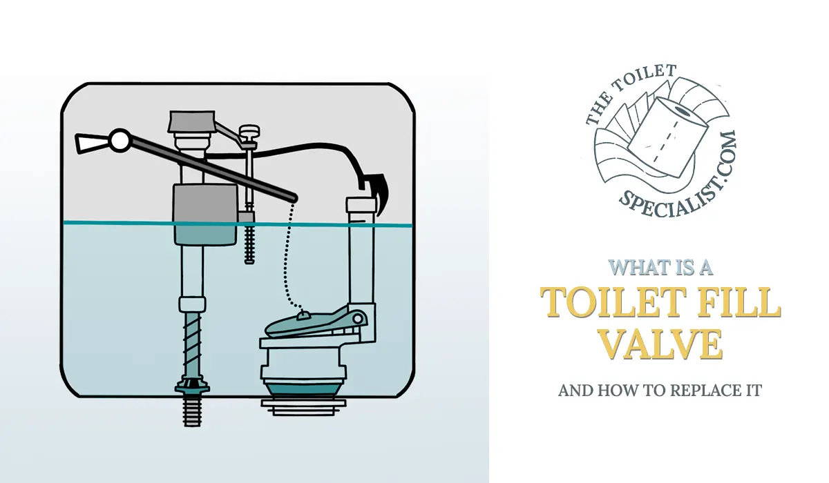You are currently viewing What is a toilet fill valve & how to replace it | Guide