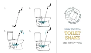 Read more about the article How to use a toilet snake | video + step by step