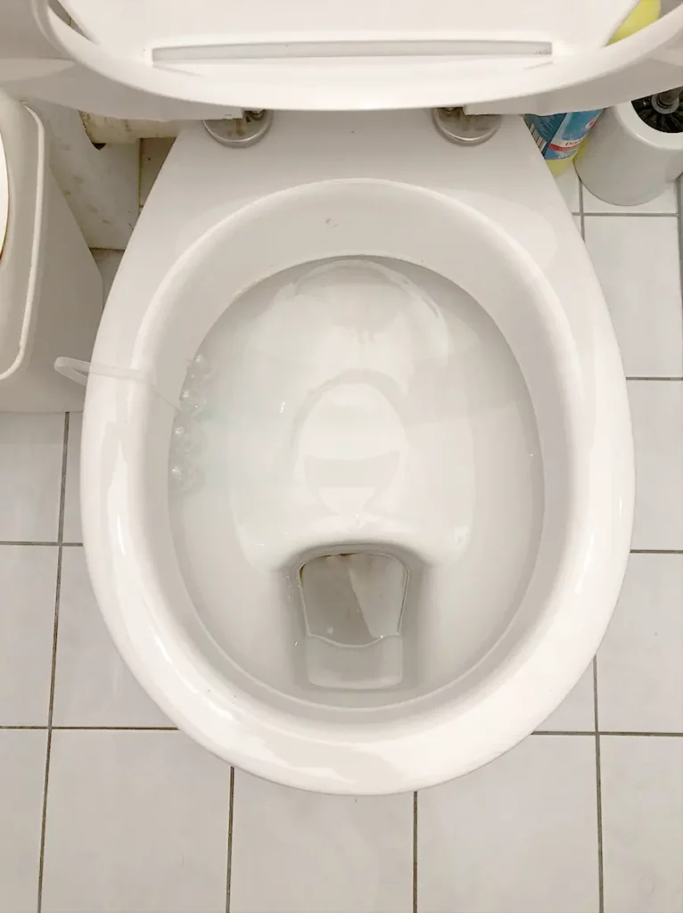 dutch toilet
