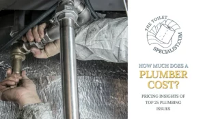 Read more about the article How much does a plumber cost? | Pricing insights