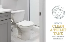 Read more about the article How to clean a toilet tank | What plumbers recommend