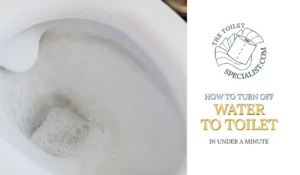Read more about the article How to turn off water to toilet in under a minute