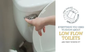 Read more about the article Everything you need to know about getting a low flow toilet