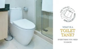 Read more about the article What is a toilet tank? Everything you need to know