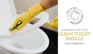Read more about the article 10 reasons why your clean toilet smells + how to resolve