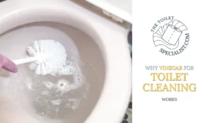 Read more about the article Vinegar in a toilet? Why vinegar for toilet cleaning works