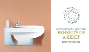 Read more about the article Discover 6 of the most important benefits of a bidet
