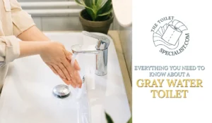 Read more about the article Everything you need to know about using a gray water toilet