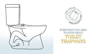 Read more about the article Everything you need to know about your toilet trapway