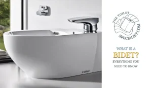 Read more about the article What is a bidet? | Everything you need to know