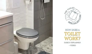 Read more about the article How does a toilet work? | Easily explained + video