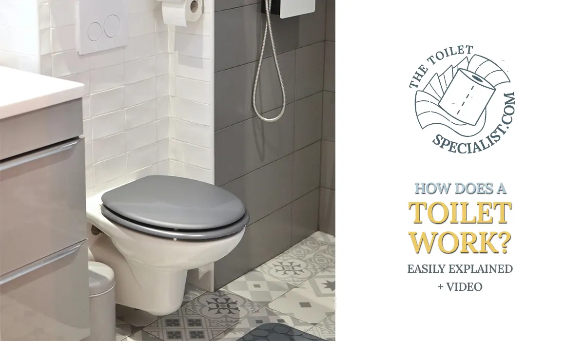 You are currently viewing How does a toilet work? | Easily explained + video