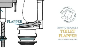 Read more about the article How to replace toilet flapper in under 10 minutes | 5 steps