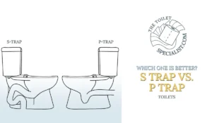 Read more about the article S trap VS P trap | Which one is better and why