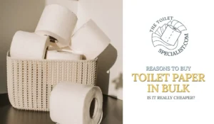 Read more about the article Reasons to buy toilet paper in bulk | Price + convenience